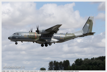 C295M