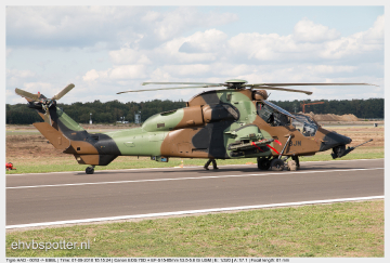 Tigre HAD - 6013_EBBL