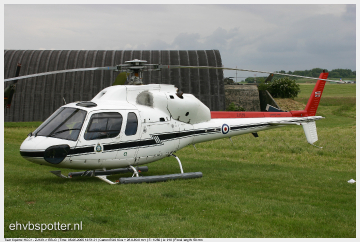 Twin Squirrel HCC1 - ZJ139_EBLG